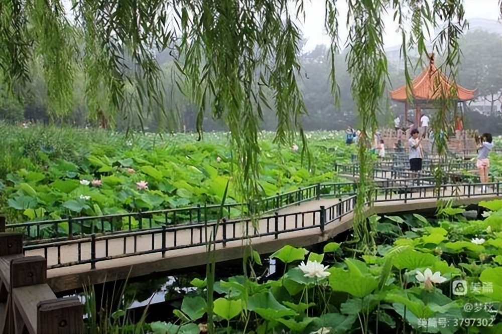 《百花美文》2022年第七期，总第八十八期