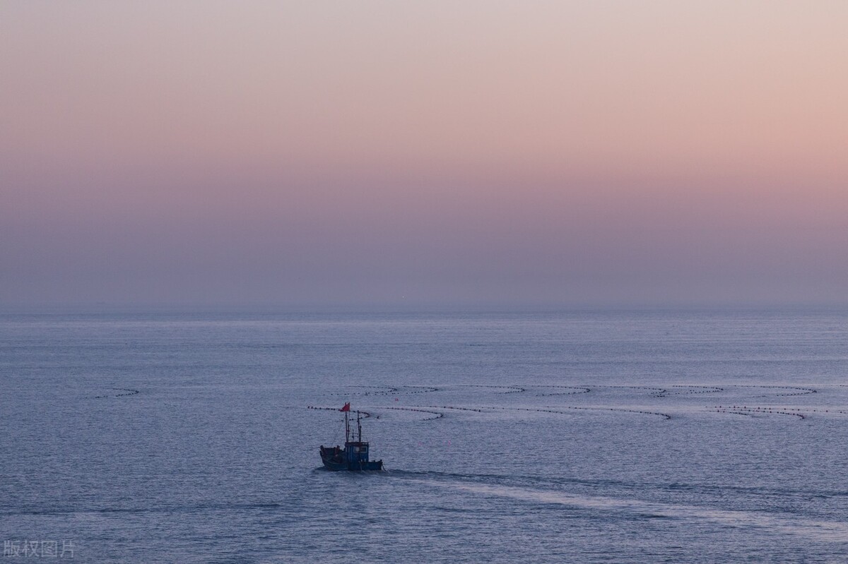 识人秘诀让你终生受用,识人识物认清现实