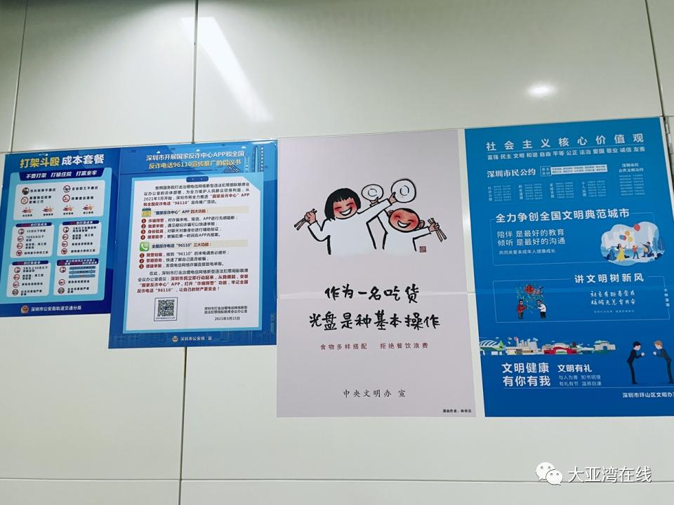 从大亚湾到深圳的轻轨线路图,从大亚湾到深圳地铁站