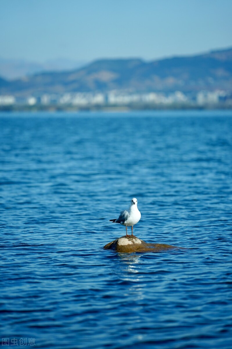 亚洲第一个美食之都,亚洲十大自驾游攻略最新