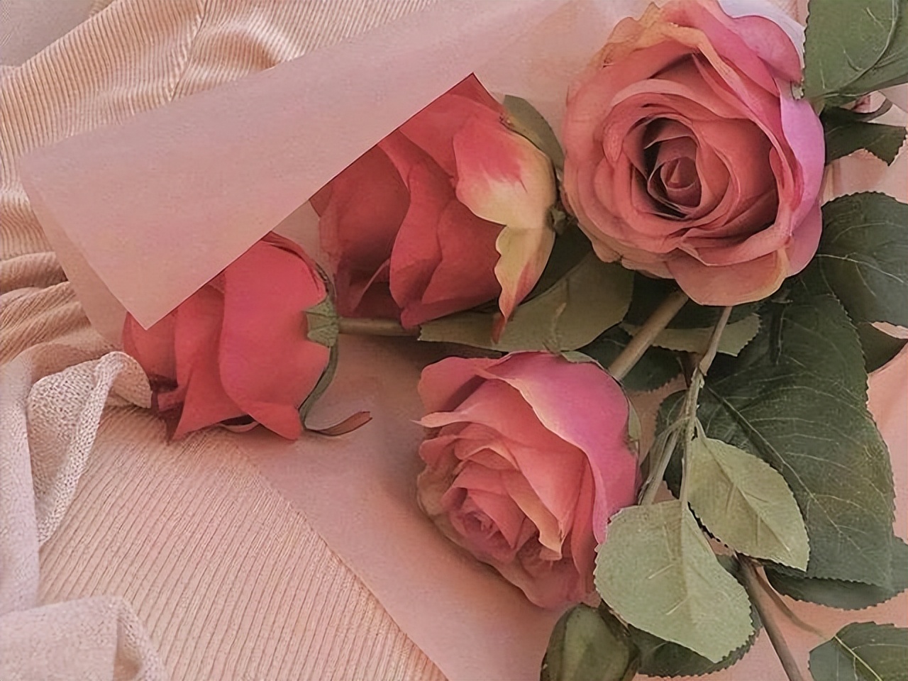 人生是怎样的一部电视剧,人生是怎样的