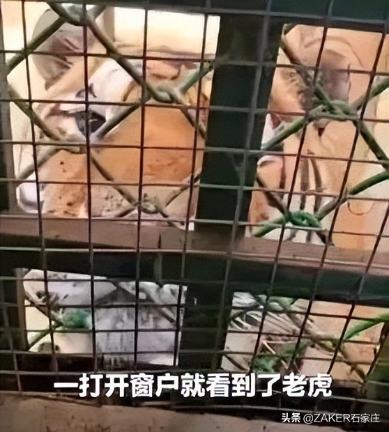 汇总！30省份高考分数线公布；石家庄2022年普通高中招生政策发布；重型货车司机误闯禁行受处罚，交警提醒