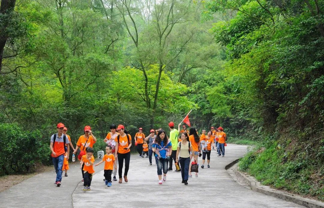 为什么会爱上顺德,恩平人为什么喜欢去委内瑞拉