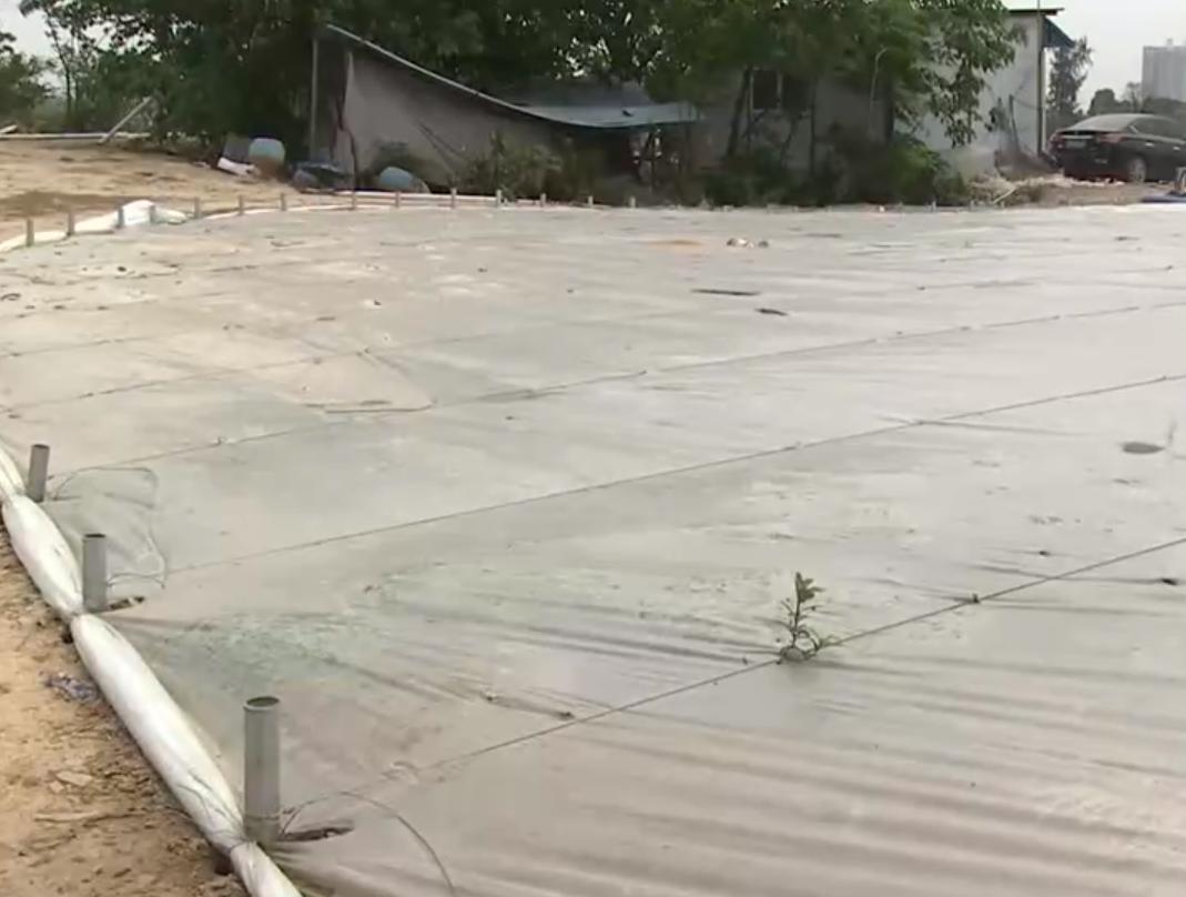 养殖罗非鱼一年赚500万,凤台县大棚养殖罗非鱼