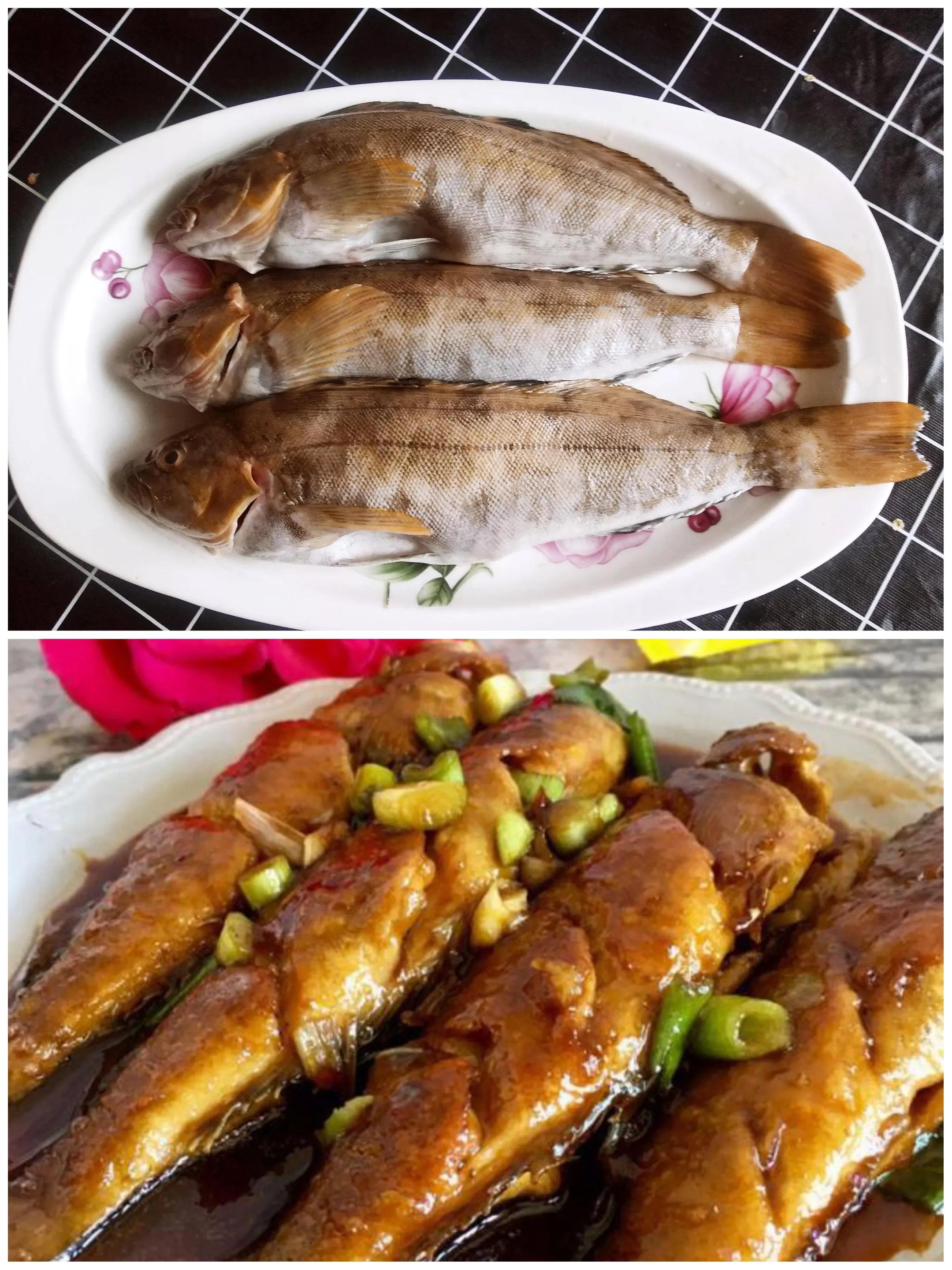 100种常见海鱼大全,常吃的海鱼图片及介绍