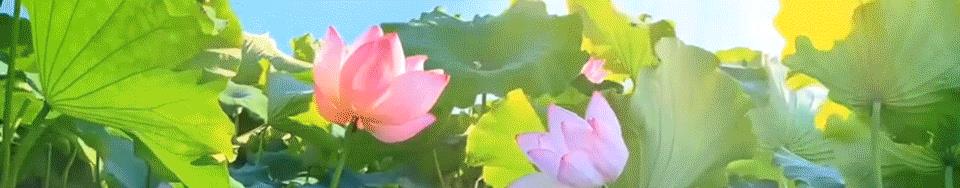 李洪涛和女儿照片,李洪涛演员妻子