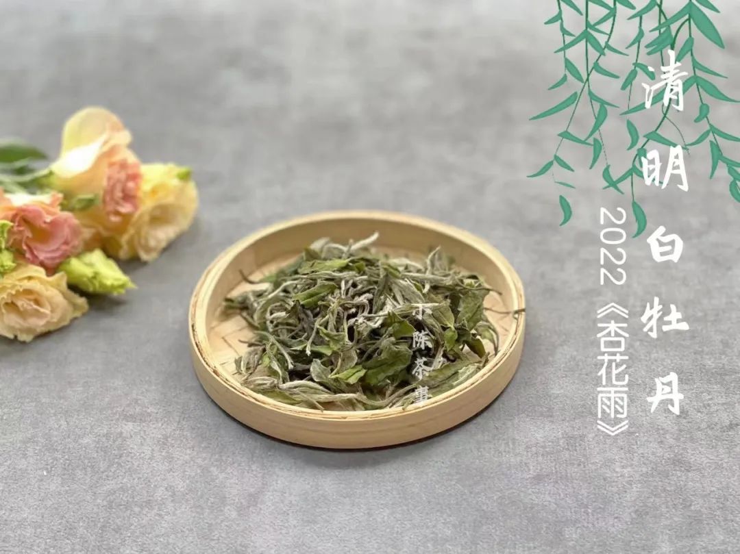 好的白茶茶汤的口感以什么为主,什么味道的白茶才是好白茶