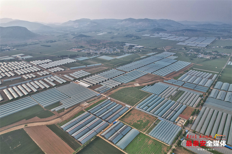 实现乡村振兴良好开局新闻,谱写乡村全面振兴新篇章新闻