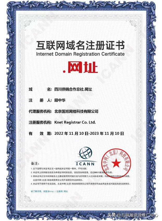 中文顶级域名助力品牌数字化发展,未来中文域名的趋势