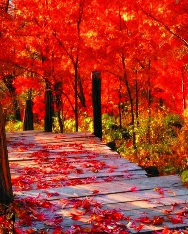 目前云南昭通有多少作家,昭通十大作家