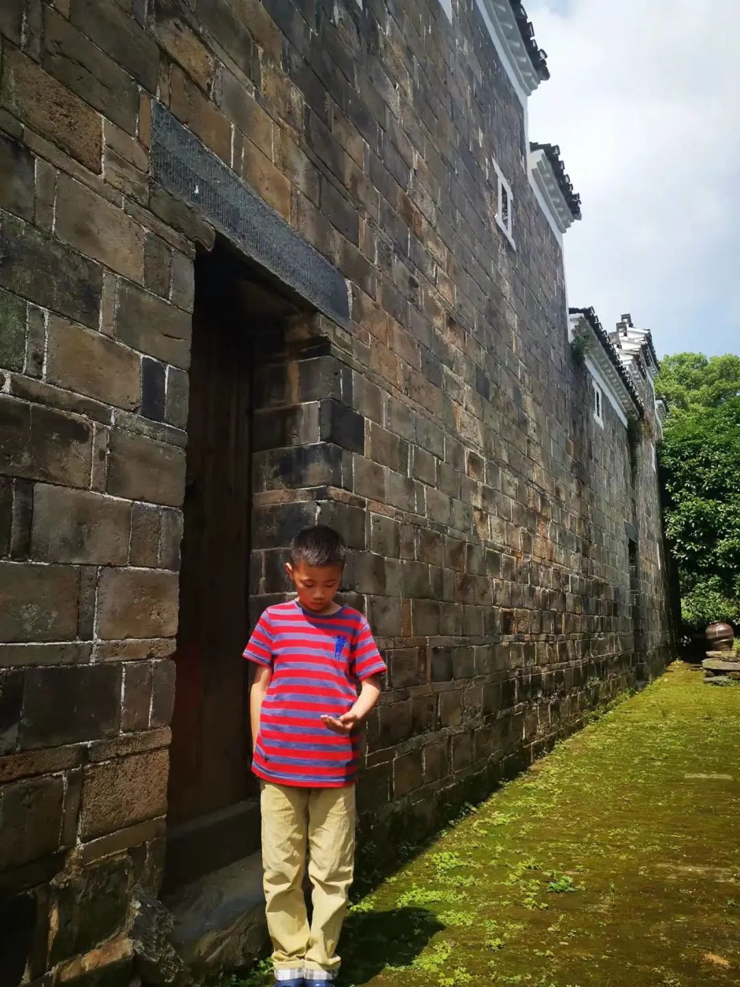 阿郎|浔阳诗画——那些花儿