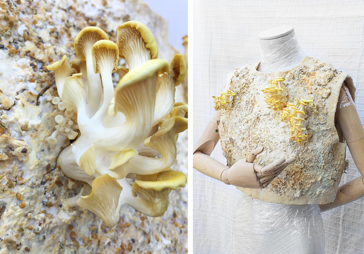 皮草变成草皮了,皮草过时了今年流行这12款