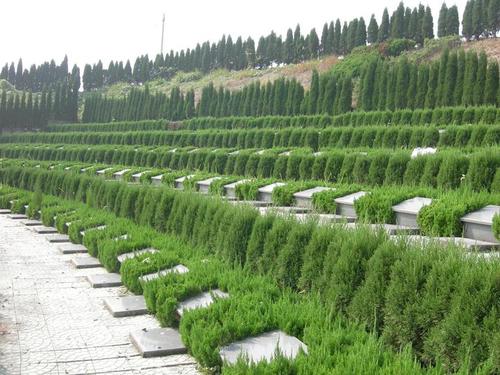 家里的宠物死了还能养吗,宠物在家里死了有忌讳吗