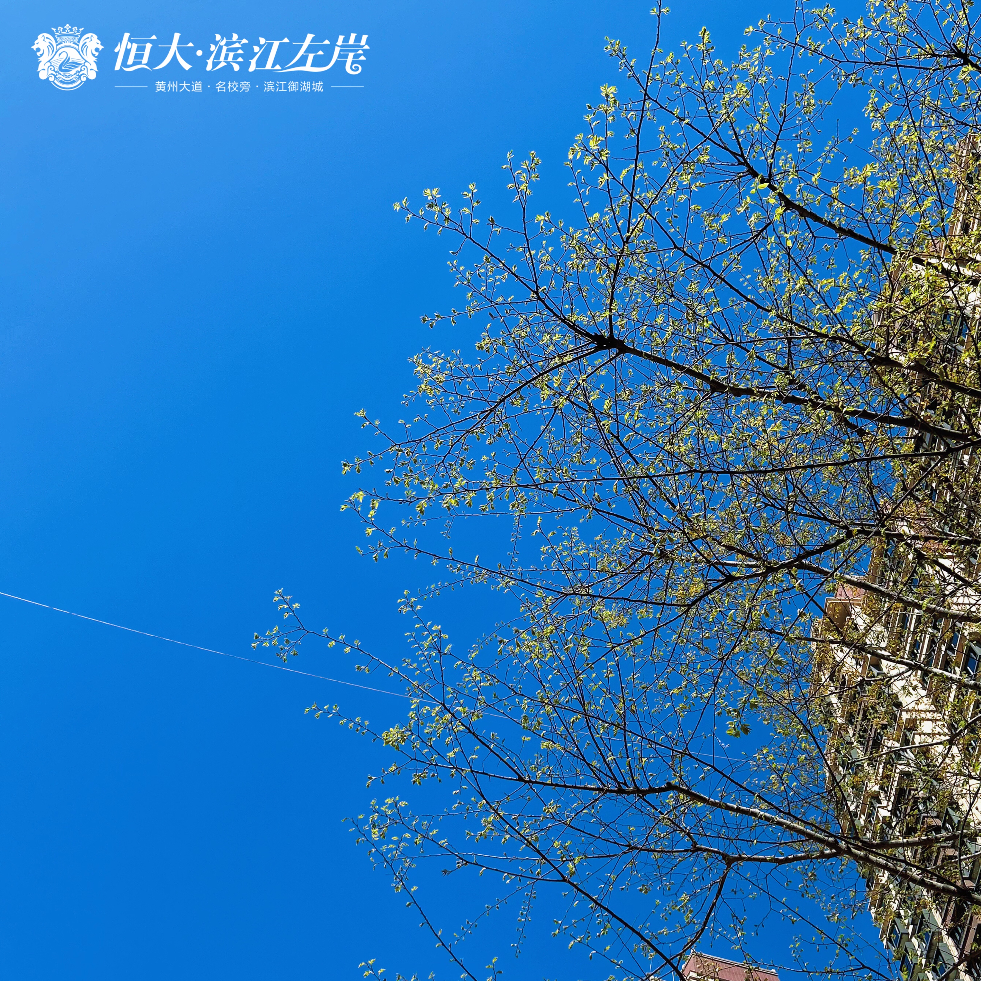 景观大数据时代,大数据与智慧园林