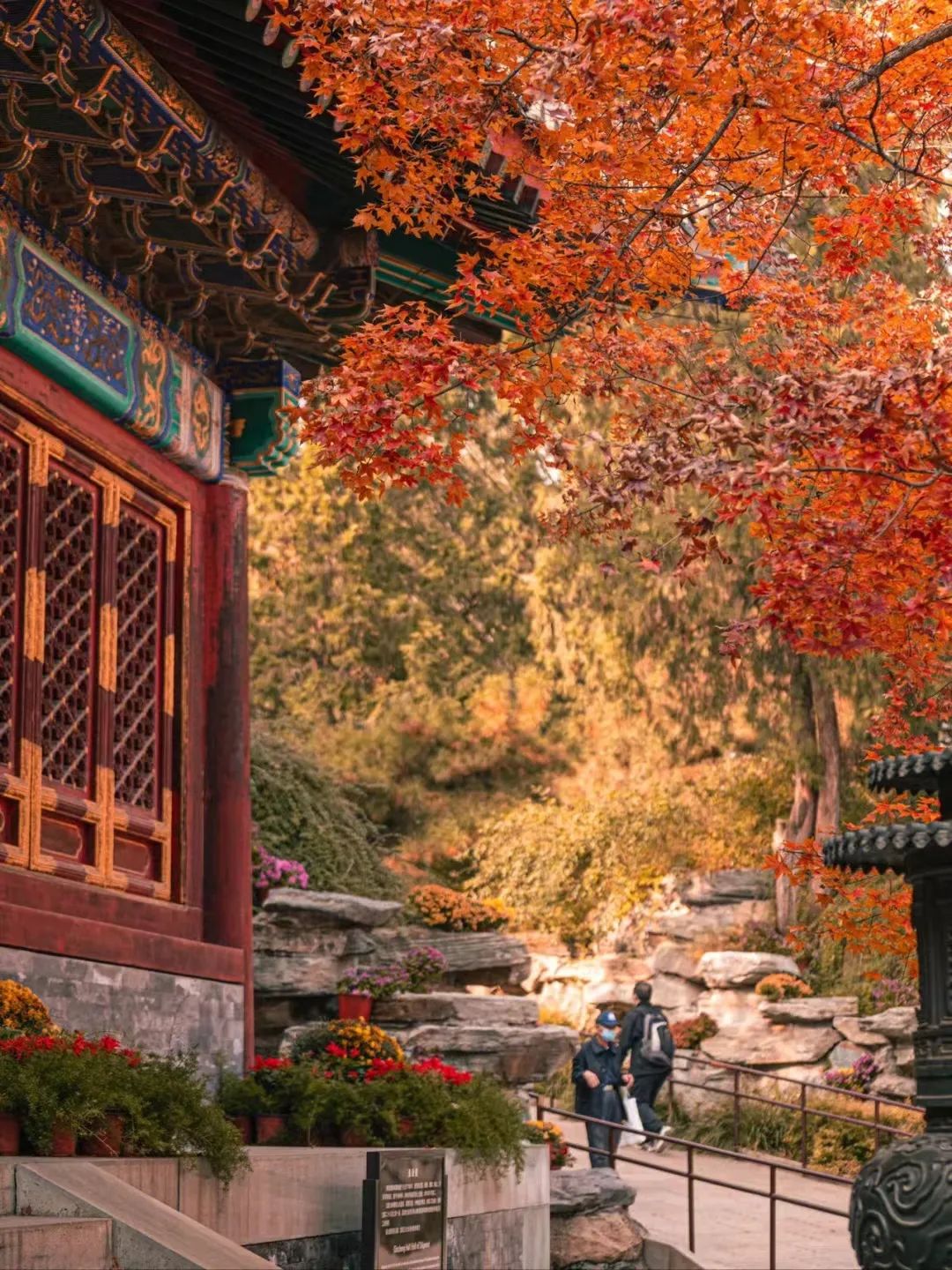 一入秋北京就变成了北平原文,一入秋北京就成了北平是谁说的