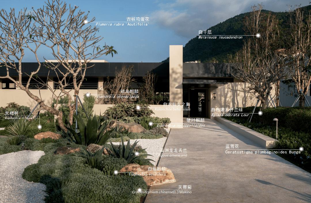 三亚沙滩和碧海蓝天,三亚有清澈的海水和美丽的沙滩