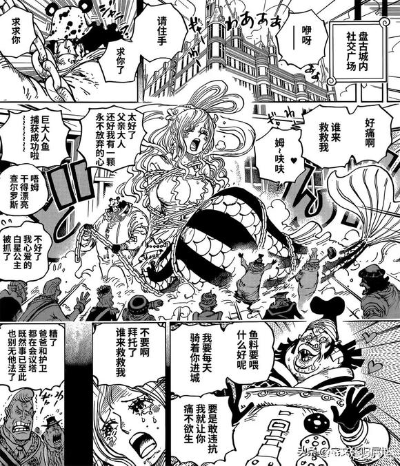 《海贼王》：第1084话熟肉汉化版