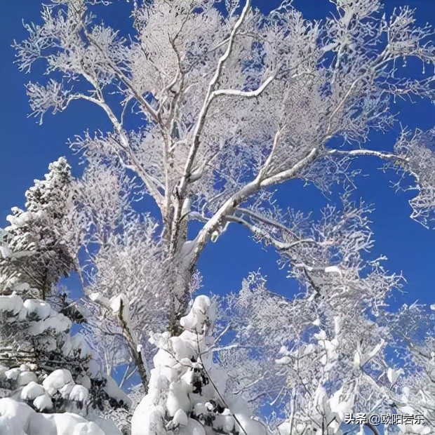 圣诞节好去处国外游,圣诞节推荐去什么地方玩