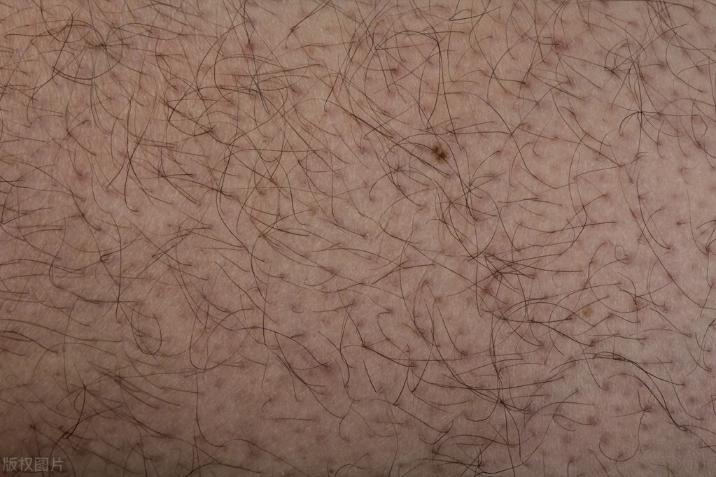 阴毛有何作用？要刮掉吗？从黑变白表示着什么？不要羞于了解