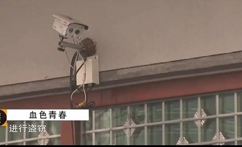 新婚孕妇被四人轮奸8小时,其中一人还未成年,夫妻最后惨遭灭口