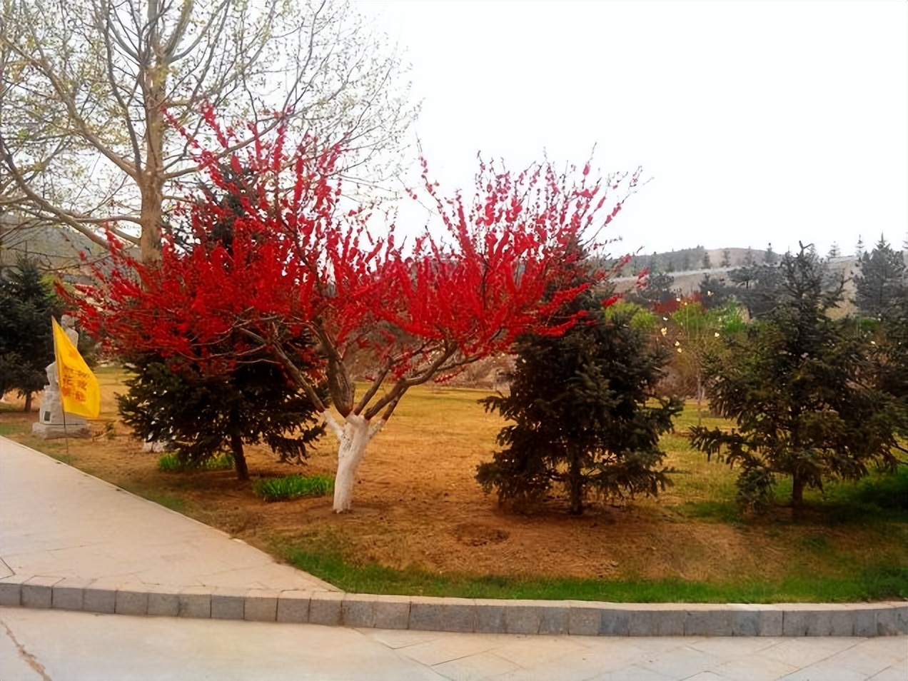 灵山宝塔陵园不同的墓区价格,灵山宝塔陵园值不值得去