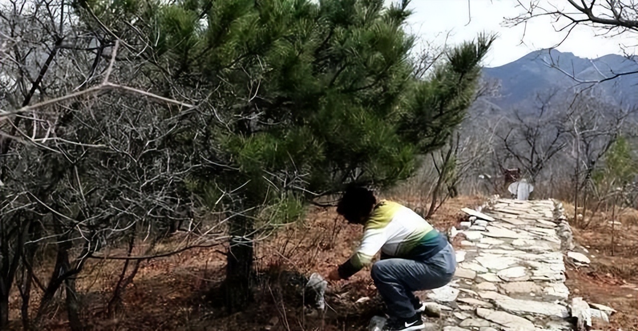 盆土严重板结怎么换土,盆土板结了不换盆怎么办