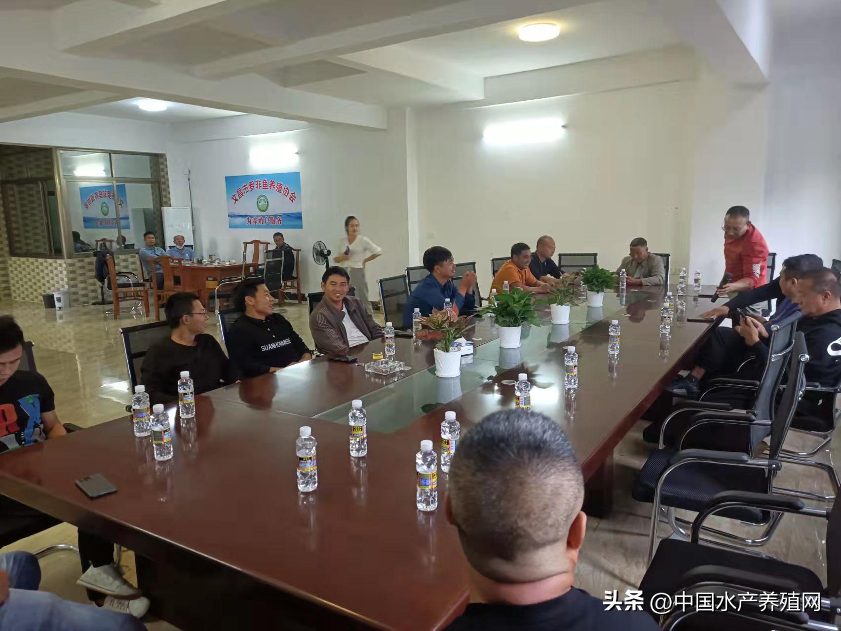 海南罗非鱼产业现状,海南罗非鱼产业