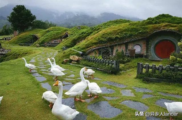 家庭农场：是否能成为乡村致富的新风口？