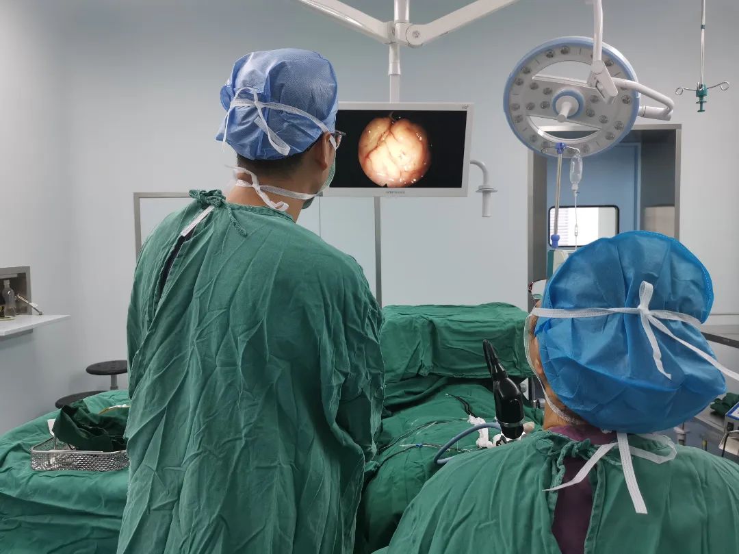 一场学术的饕餮盛宴,学术盛宴将启幕