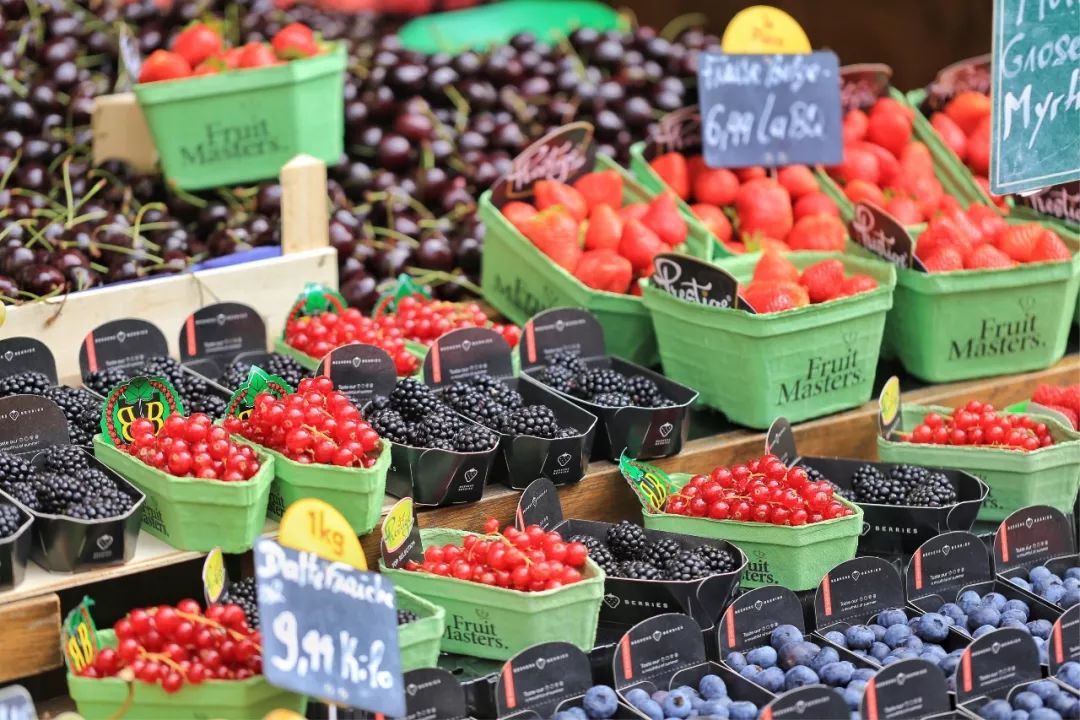 浪漫之都巴黎旅拍,浪漫之都巴黎城市