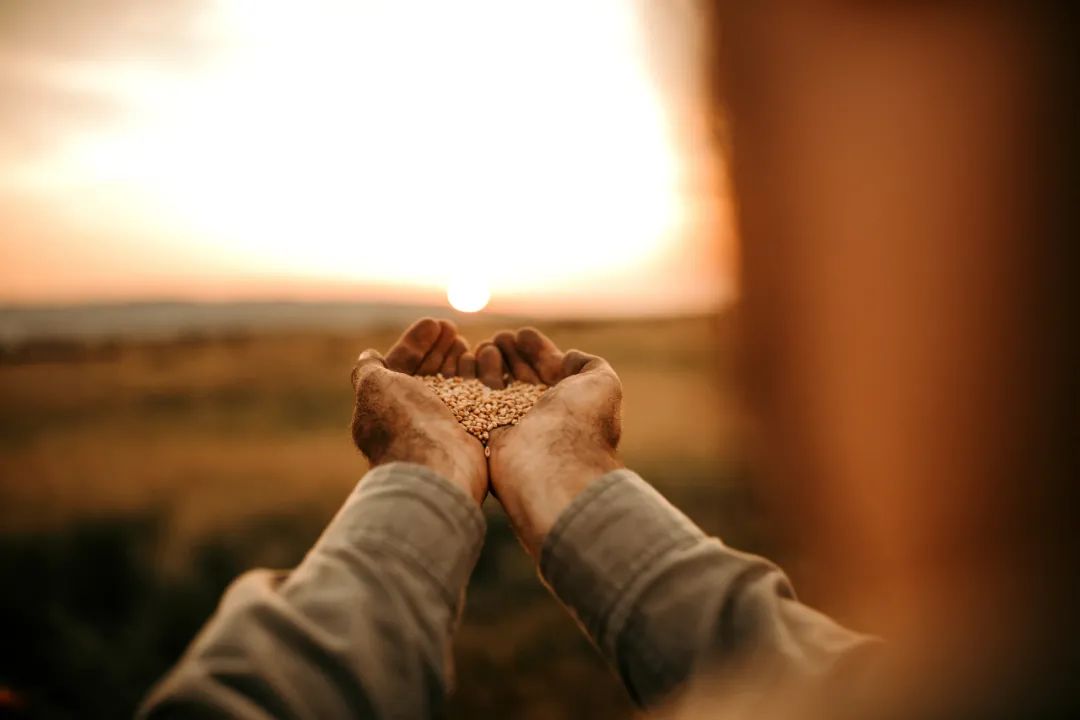 品读｜隐眠在心底的家乡土特产