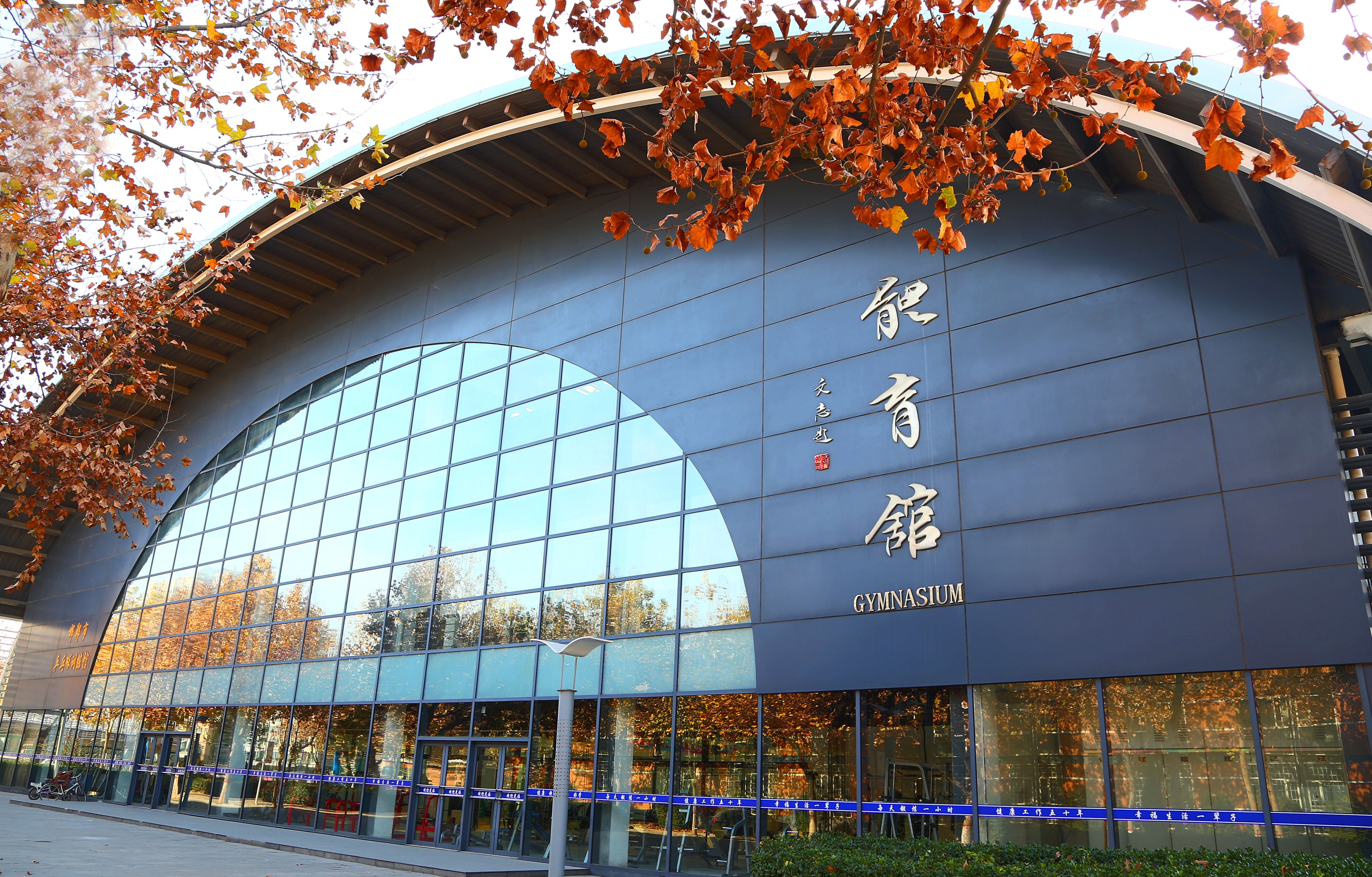 2024年高校教授杯乒乓球比赛,全国高校教授杯乒乓球赛成绩单