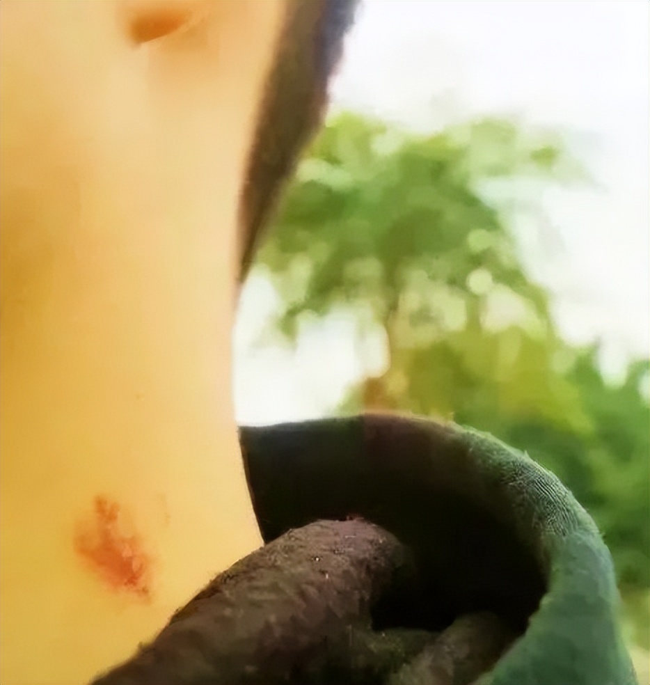 月入万元的“小留学生”:想发财就是瞬间的事,像这笔200万换汇