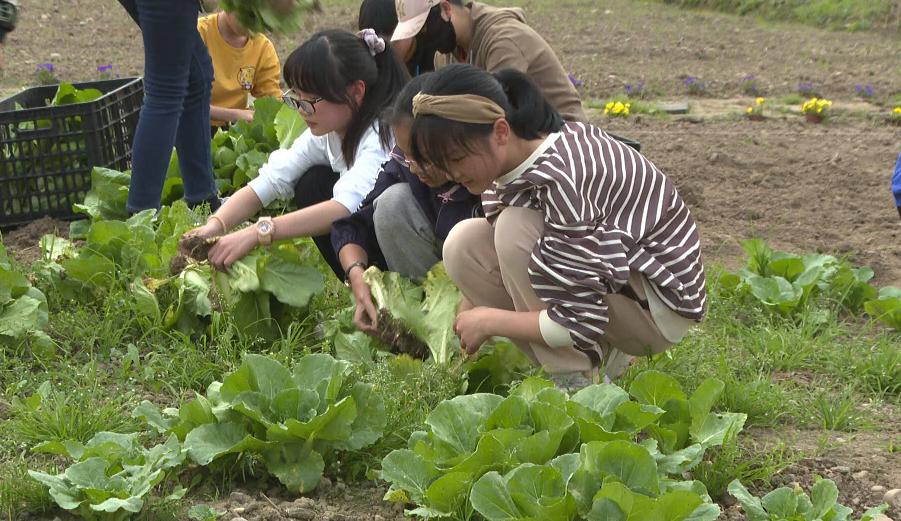 劳动实践教育基地体验劳动的快乐,一小劳动实践基地