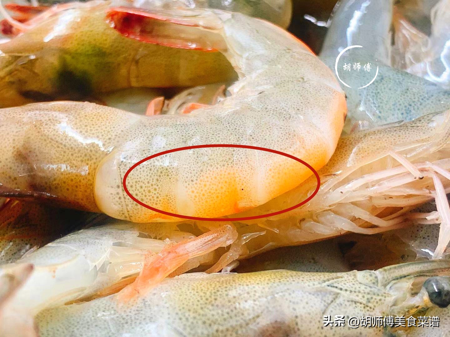 本地大虾和海虾的区别,冻虾直虾和弯虾有什么区别