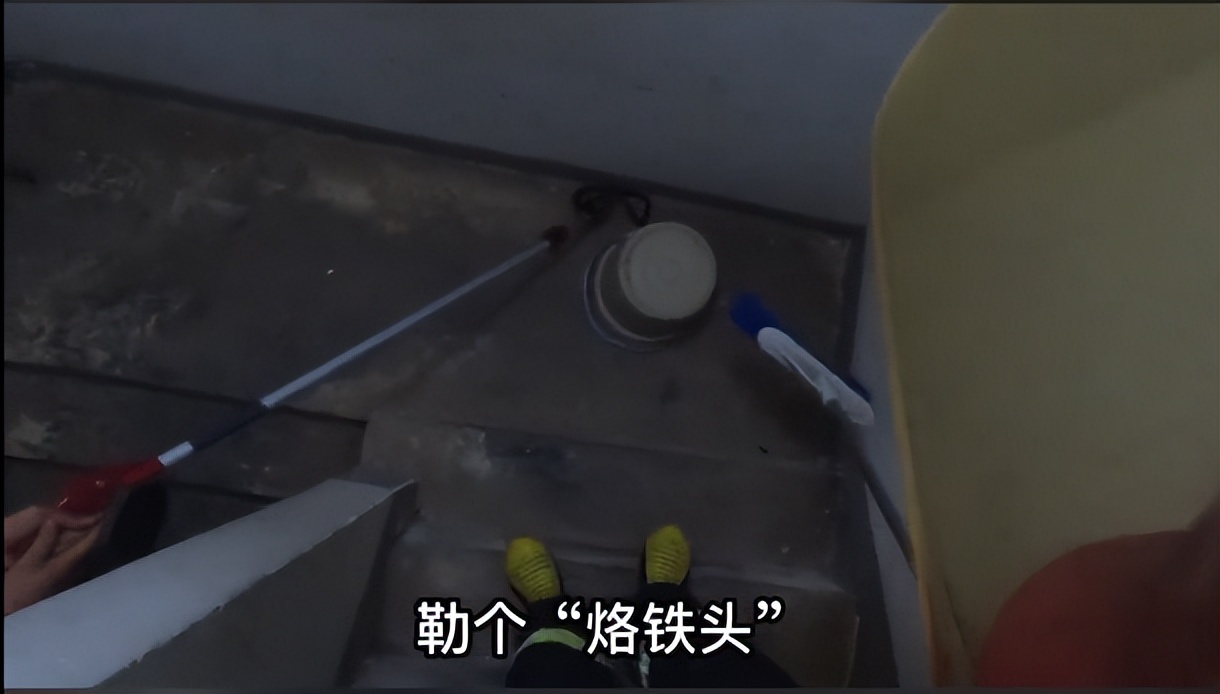 重庆某小区频繁出现剧毒蛇,重庆的剧毒蛇