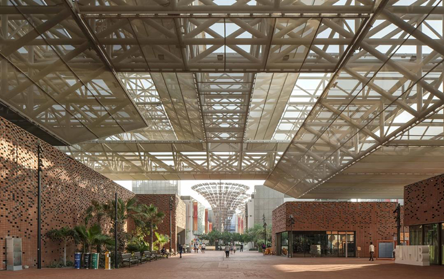 typology涓枃,typology