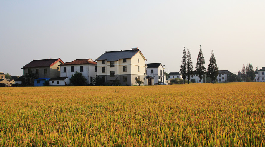 农村养殖业最赚钱的行业,农村靠信息差赚钱的行业