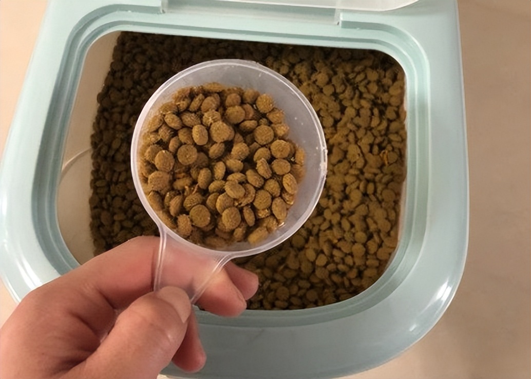 猫粮怎么储存不会潮,猫粮大袋装怎么保存