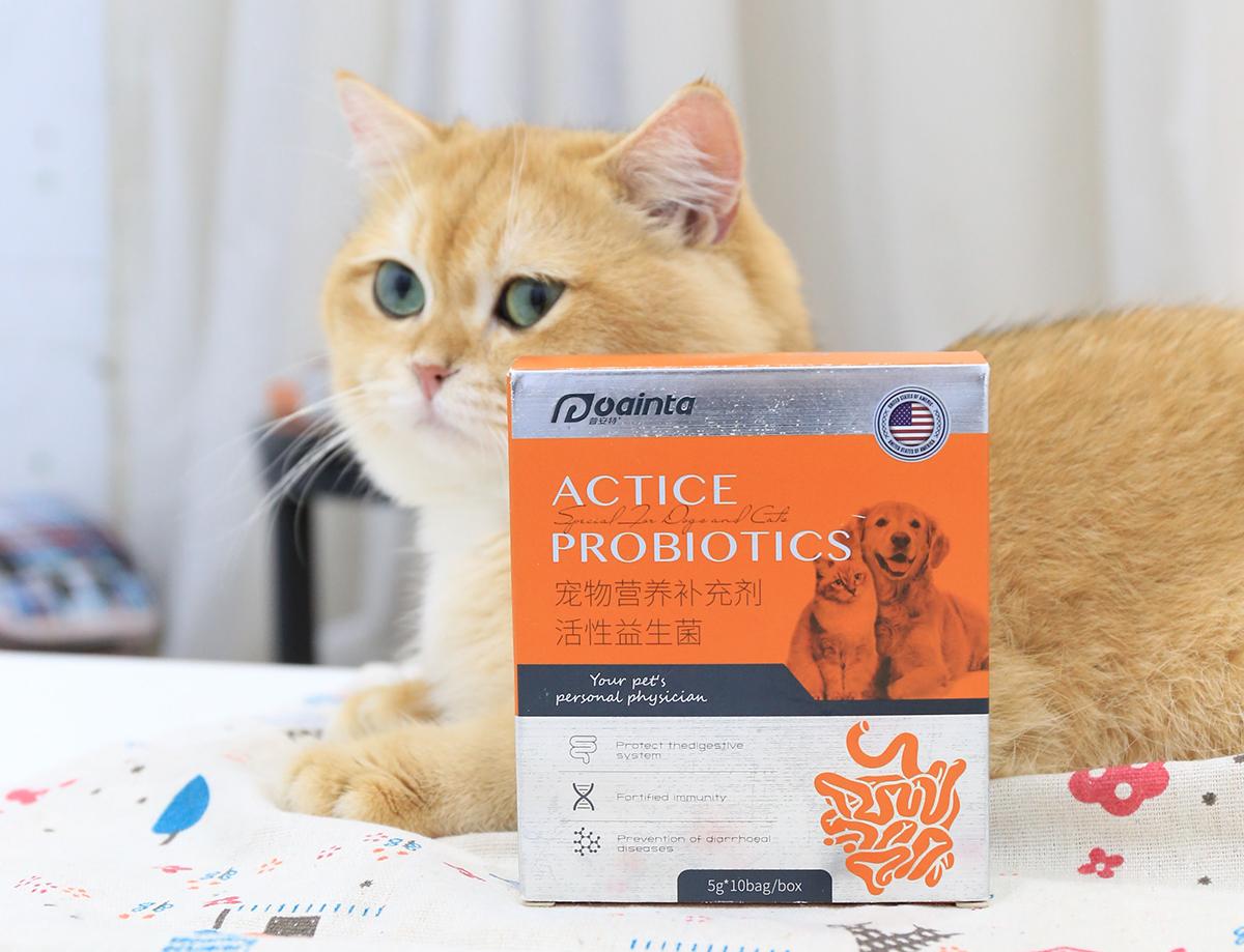 猫咪厌食不吃东西怎么办,猫咪厌食没精神会是狂犬病吗