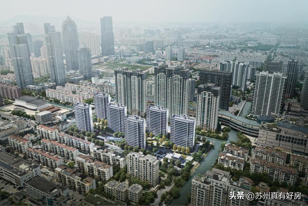 开局四大神兽,四大神盘新房