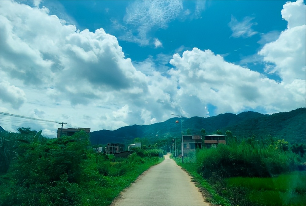 我的大柴切，居家旅行都能胜任