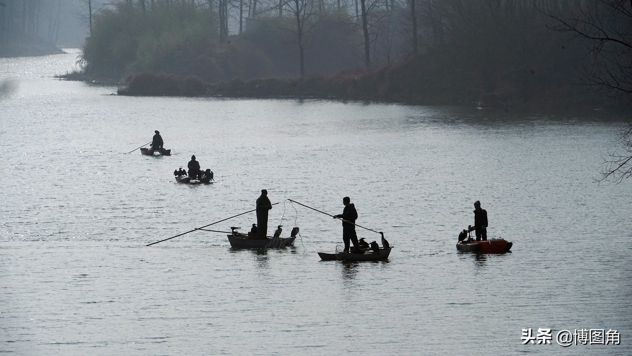 鸬鹚捕鱼渔民生活实拍精彩的瞬间,渔民与鸬鹚捕鱼图片