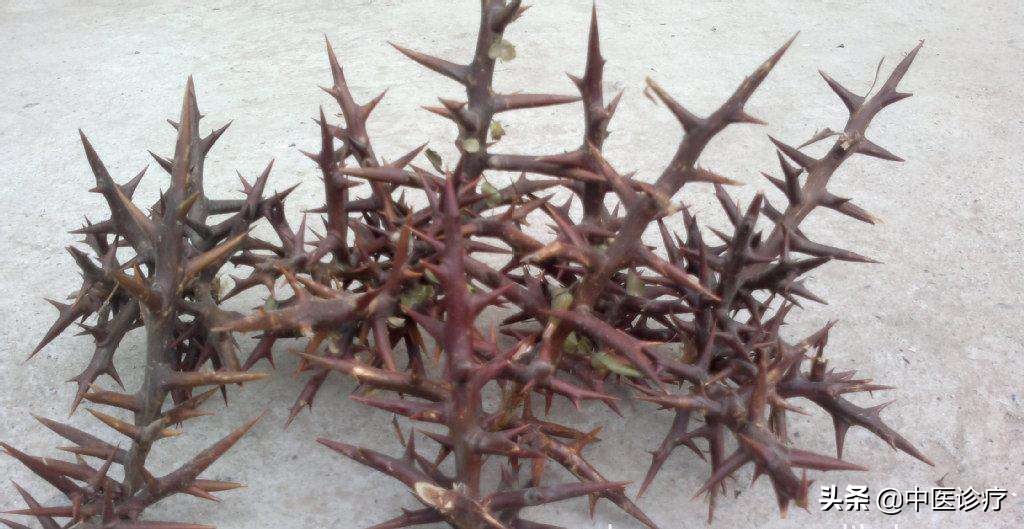 专门治疗输卵管堵塞的中药配方,民间秘方输卵管堵塞