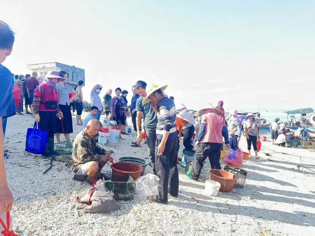 厦门开禾路海鲜推荐,厦门海鲜在哪个港口买便宜