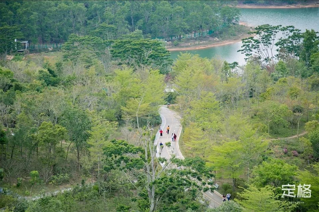 深圳免费露营的公园推荐,深圳22个露营公园