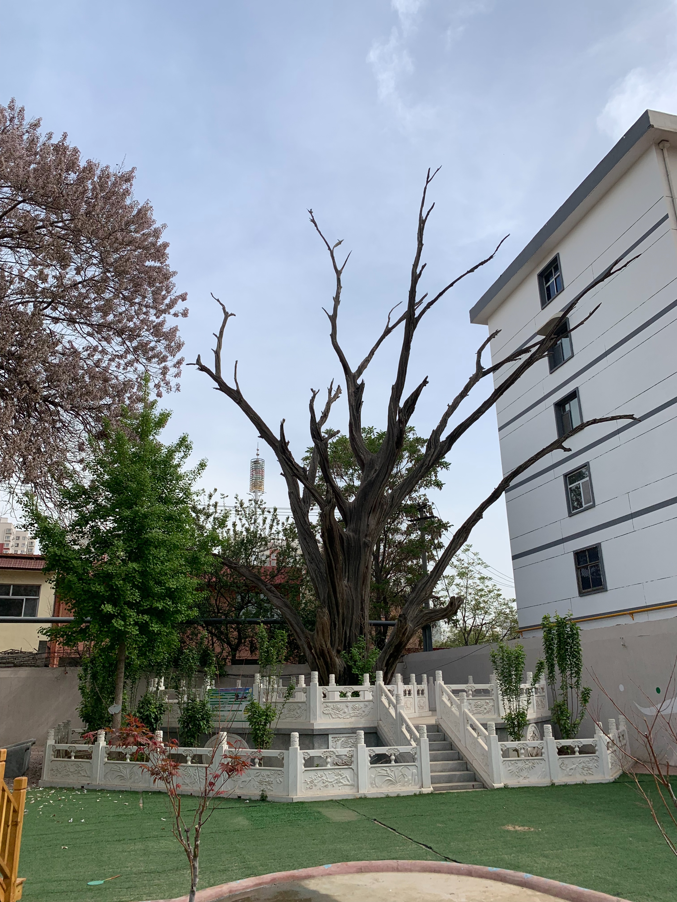 被央视评为最美妈妈,河北定州最美妈妈