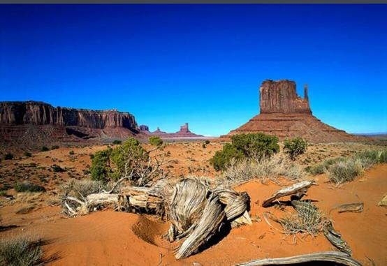 巴塔哥尼亚国家地理,趣味地理巴西