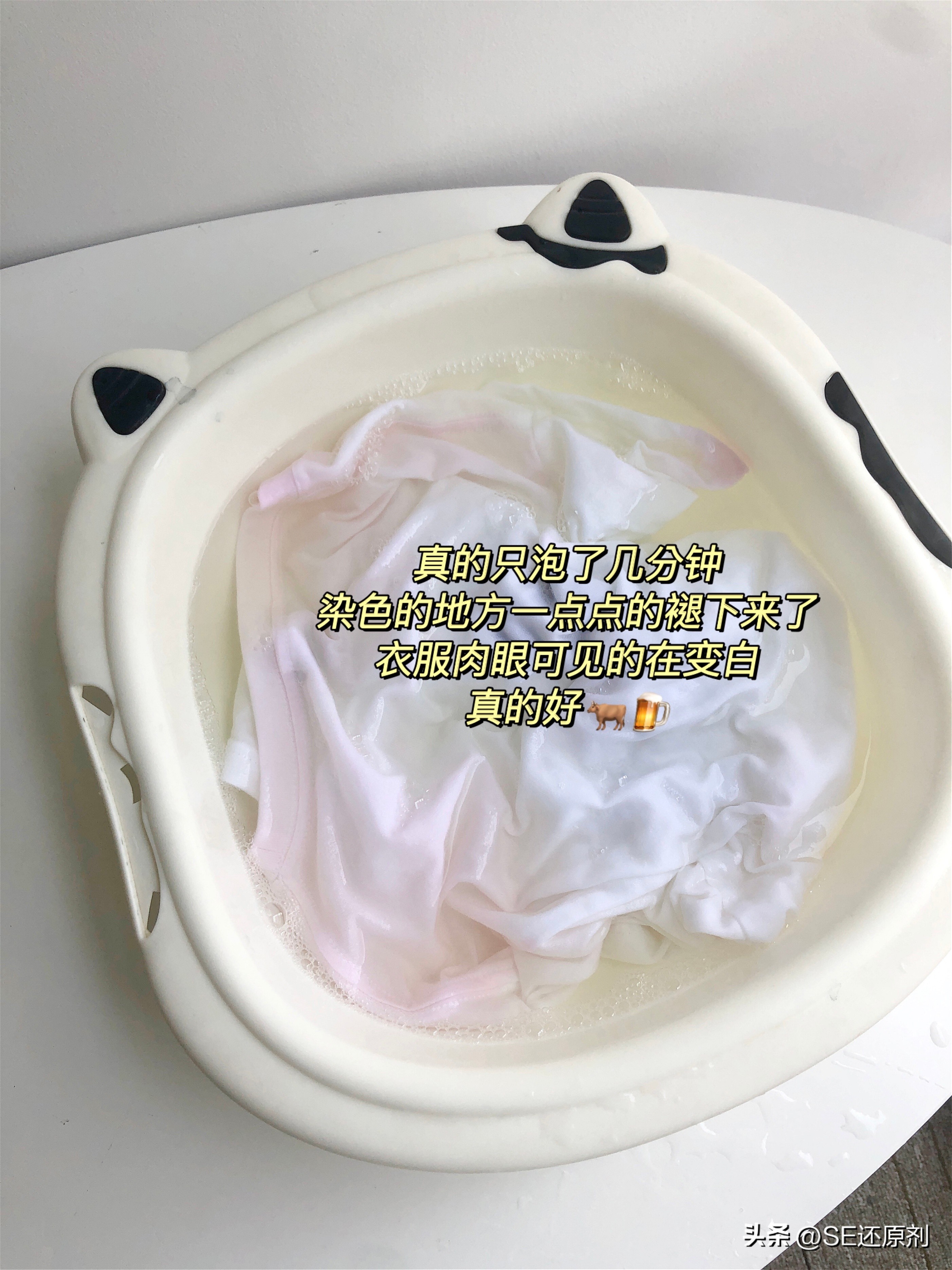 白色衣服混洗染色怎么办,白衣服染色怎么恢复原色