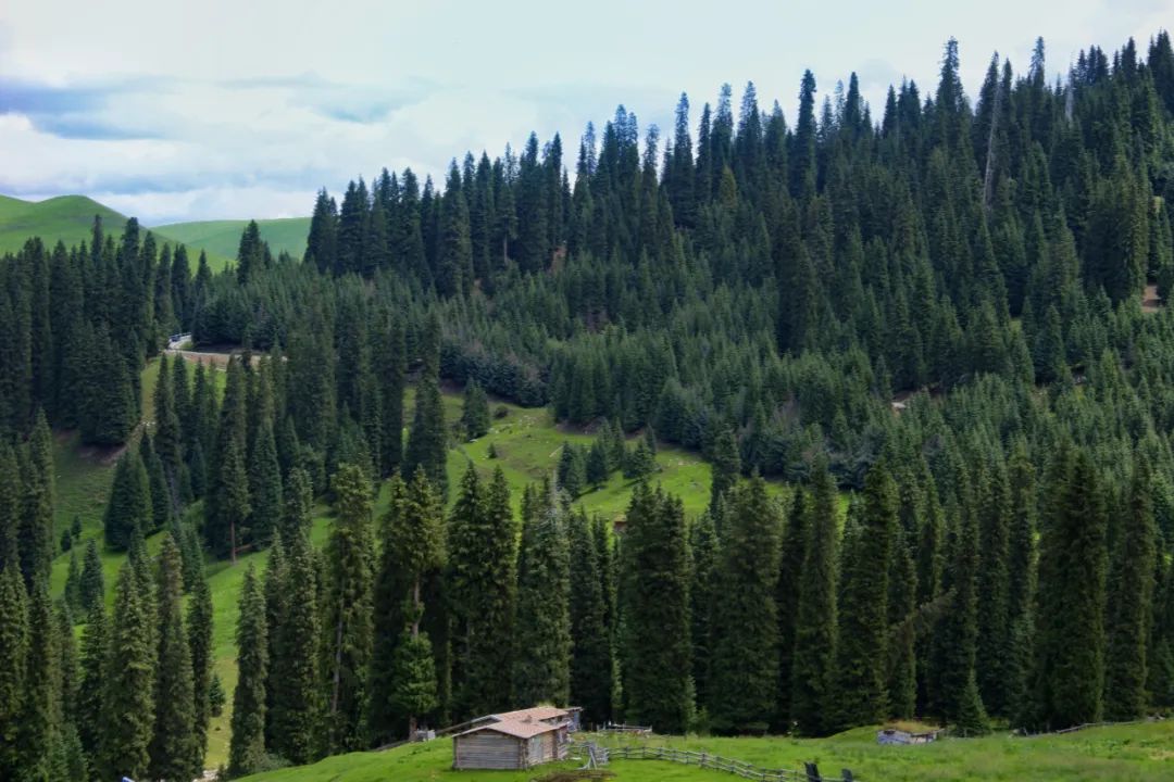 适合夏天避暑旅游的地方,适合夏天避暑的旅游地方